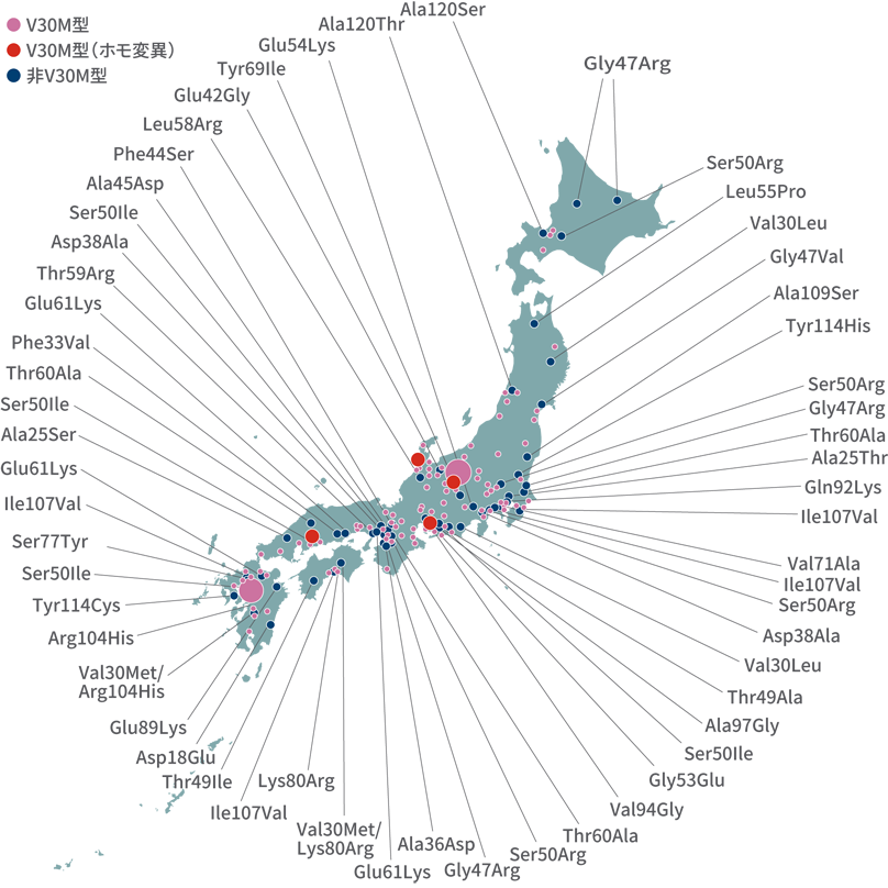日本における遺伝性ATTRアミロイドーシス(FAP)の分布